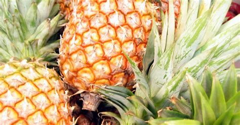 pineapple-benefits-health-nutrition-and-more-greatist image
