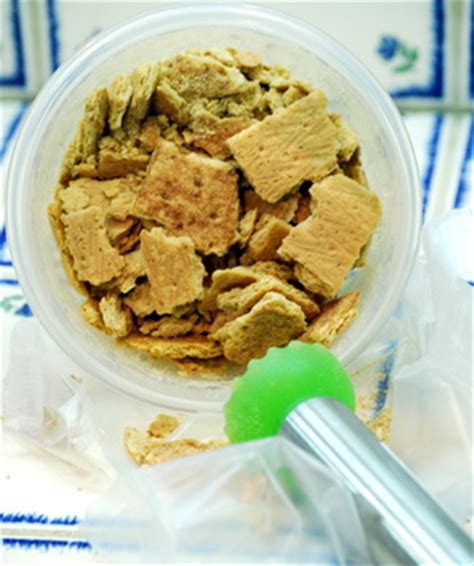 how-to-make-graham-cracker-crumbs-baking-bites image