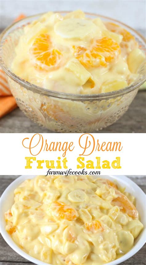 orange-dream-fruit-salad-the-farmwife-cooks image