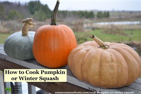 how-to-cook-pumpkin-or-winter-squash-3-easy image