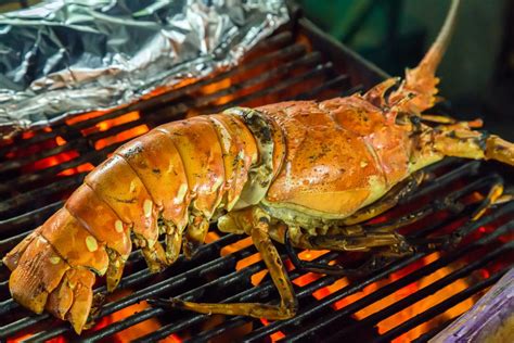 a-guide-to-cooking-lobster-tails-on-a-bbq-without image