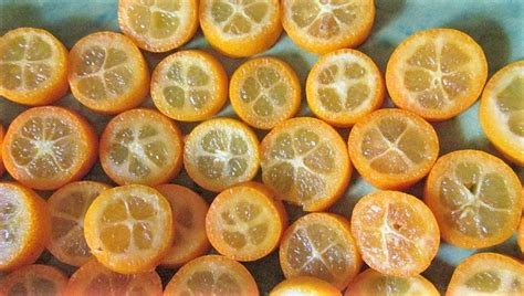 eating-kumquat-fruit-with-recipe-ideas-plant-food-at image