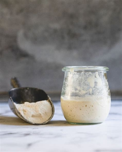 how-to-feed-sourdough-starter-a-couple-cooks image