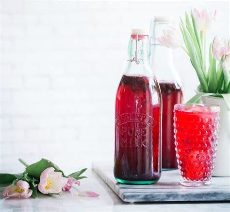 raspberry-mint-iced-tea-recipe-adult-version-included image