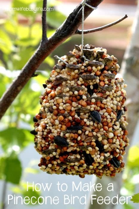 how-to-make-a-pine-cone-bird-feeder-mom-wife-busy image