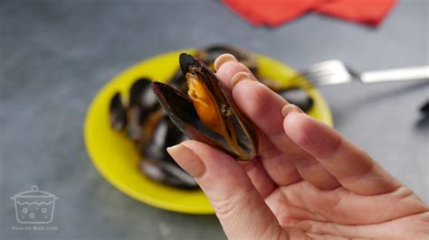 how-to-boil-mussels-a-beginners-guide-how-to image