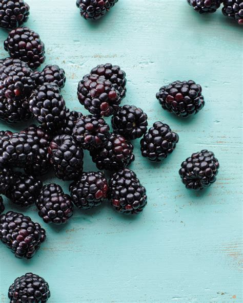 delicious-blackberry-recipes-to-make-throughout-the-summer image
