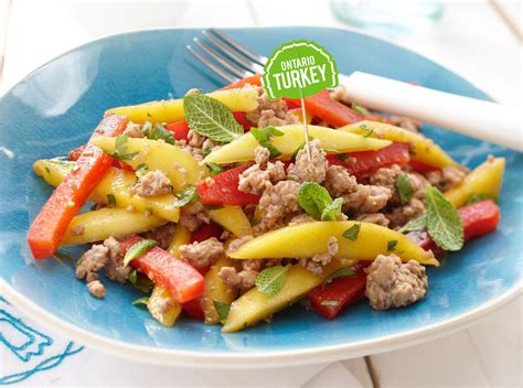 turkey-mango-salad-todays-parent image