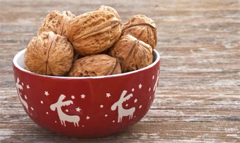 5-best-christmas-nuts-for-the-holiday-season-smart-tips image