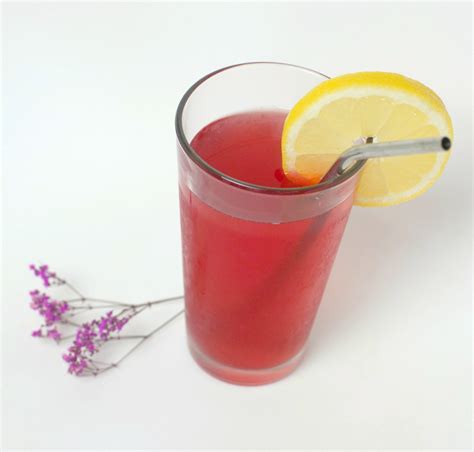 hibiscus-fruit-punch-an-antioxidant-powerhouse image
