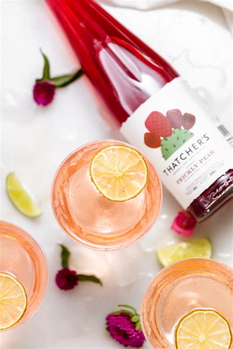 9-best-prickly-pear-cocktails-to-drink-in-2023 image