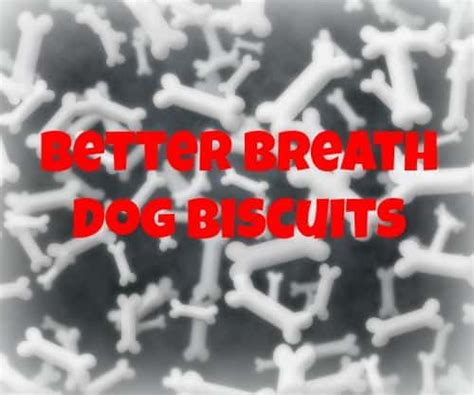 better-breath-dog-biscuits-recipe-miss-molly-says image