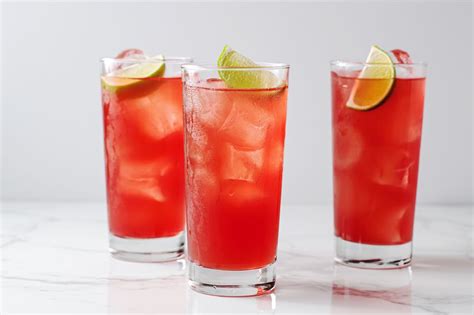 the-madras-vodka-cranberry-cocktail-recipe-the image
