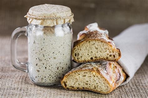 how-to-make-gluten-free-sourdough-starter-bread image