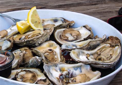 simple-steamed-oysters-recipe-oyster-obsession image