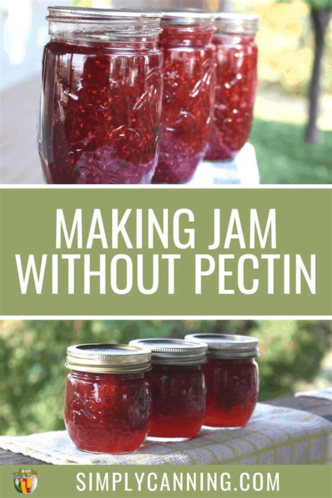 making-jam-without-pectin-canning-homemade-no-pectin-added image