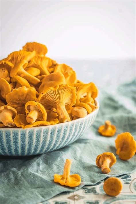 the-best-chanterelle-mushroom-recipes-health-starts-in image