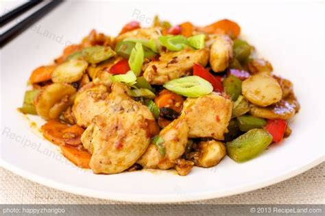 hunan-hot-and-sour-chicken-recipe-recipelandcom image