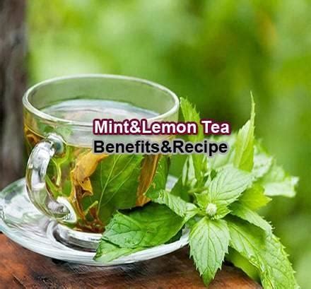 20-exceptional-health-benefits-of-mint-lemon-tea-5-th-very image