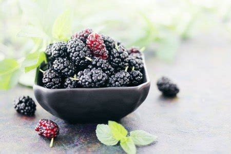 homemade-mulberry-wine-recipe-simple-delicious image
