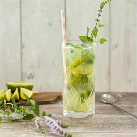 mojito-mocktail-sugar-free-always-use-butter image