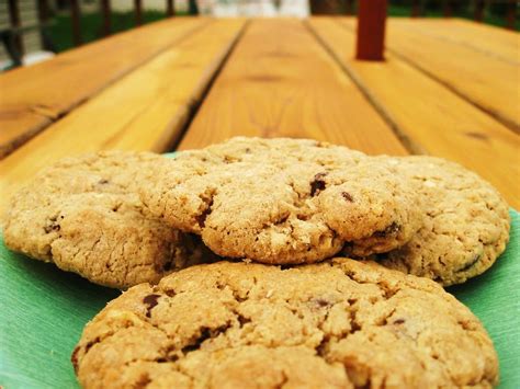 fruity-oatmeal-cookies-recipe-recipesnet image