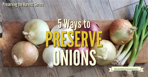 5-ways-to-preserve-onions-rockin-w-homestead image