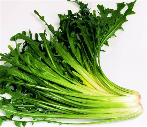 11-green-vegetables-i-never-ate-before-moving-to-italy image