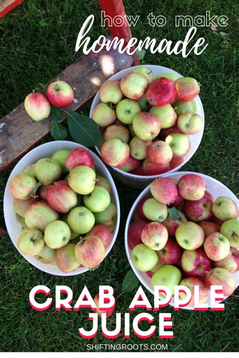 how-to-make-crab-apple-juice-shifting-roots image