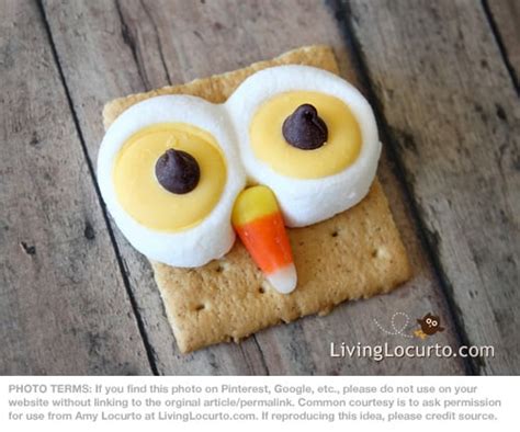 owl-smores-fun-no-bake-recipe-for-kids-living image