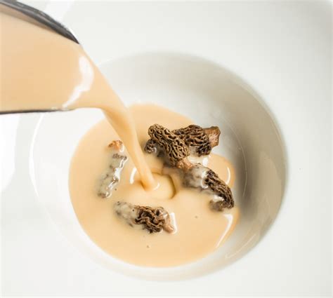 creamy-dried-morel-soup-bisque-forager-chef image