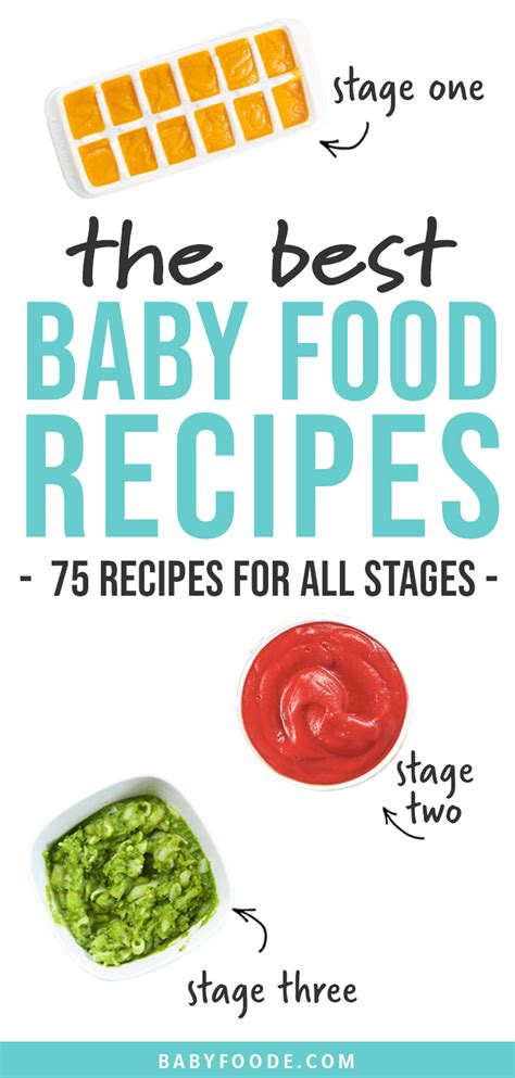 75-best-baby-food-recipes-stage-1-2-3 image