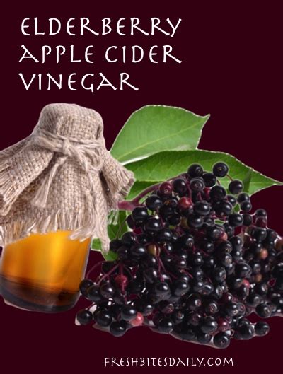 elderberry-vinegar-a-healthy-fun-vinegar-fresh image