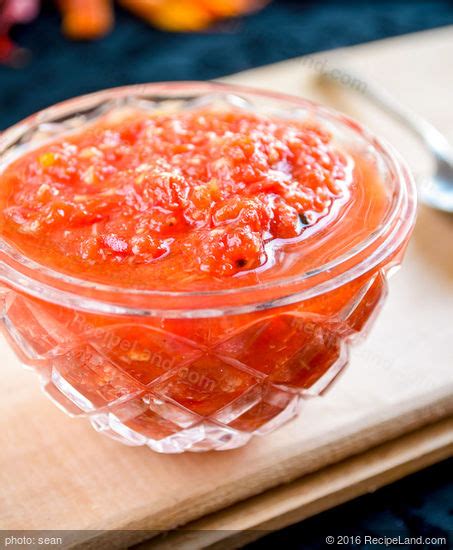 hot-and-spicy-tomato-salsa image