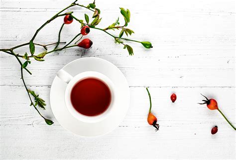 how-to-make-rosehip-tea-simple-loose-leaf-tea image