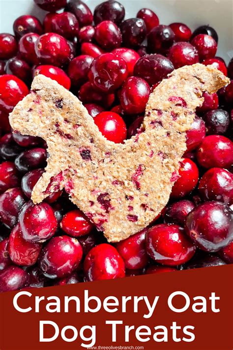 honey-oat-and-cranberry-dog-treats-three-olives-branch image