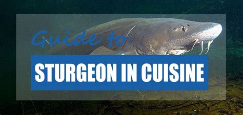 can-you-eat-sturgeon-and-why-you-may-not-want-to image