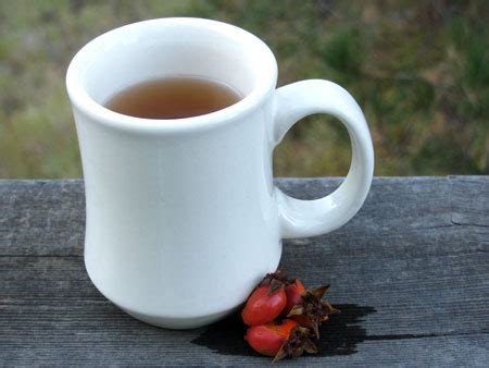 foraging-rose-hip-recipe-for-tea-eating-richly image