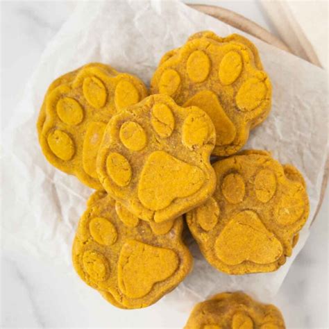 easy-pumpkin-dog-biscuits-recipe-spoiled-hounds image
