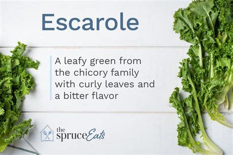 what-is-escarole-and-how-is-it-used-the-spruce-eats image