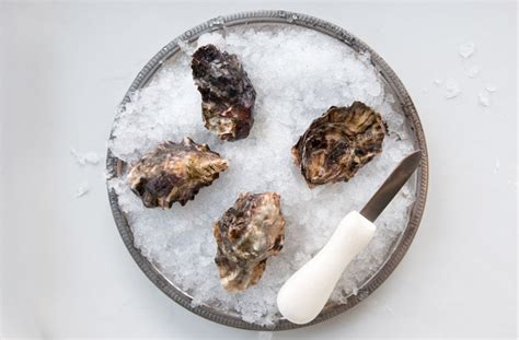 totten-inlet-oyster-oysterology-online-pangea image