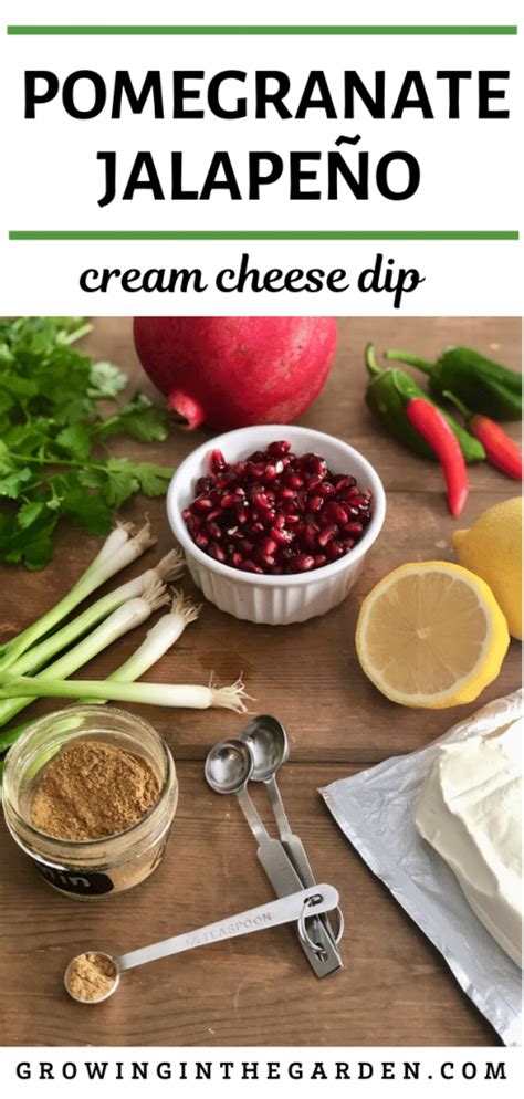 pomegranate-jalapeo-cream-cheese-dip-growing-in image