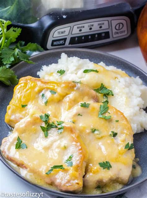 slow-cooker-pork-chops-and-gravy-tastes-of-lizzy-t image
