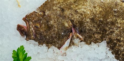 how-to-cook-turbot-great-british-chefs image