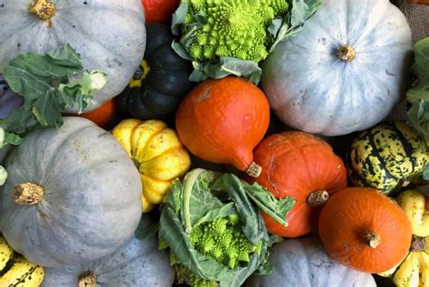 how-to-cook-and-enjoy-10-types-of-squash-other-than-pumpkin image