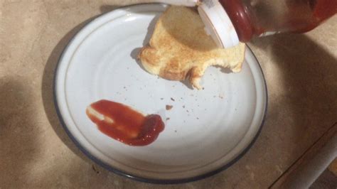 ketchup-on-toast-food-experiment-gone-wild-cops image