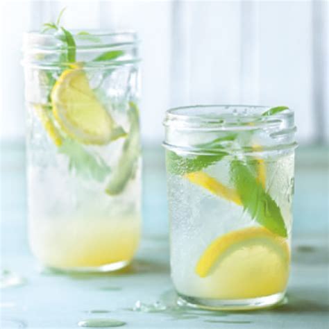 lemon-verbena-lemonade-williams-sonoma image