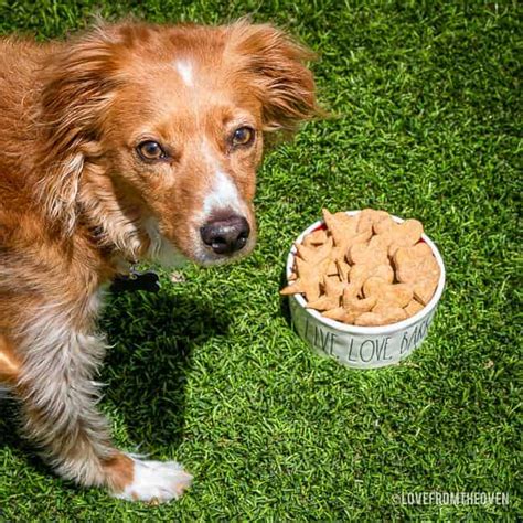 easy-peanut-butter-dog-treats-love-from-the-oven image