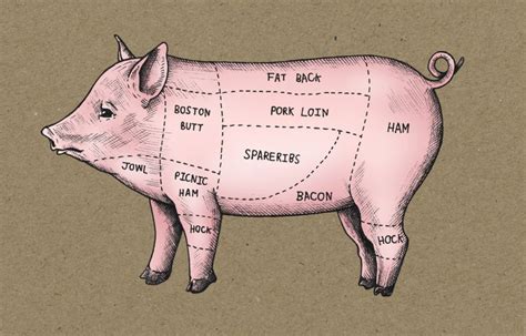 cured-pork-loin-curing-your-own-bacon-preserve image