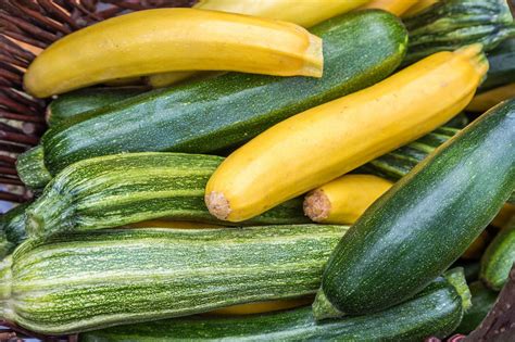 zucchini-recipes-allrecipes image
